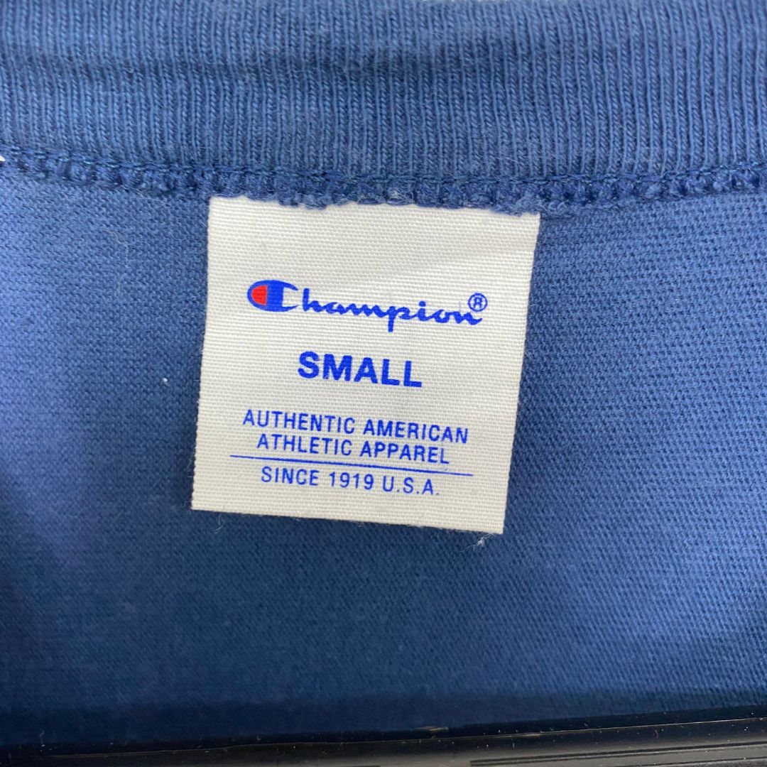Champion Blue Striped T Shirt - VintageVera