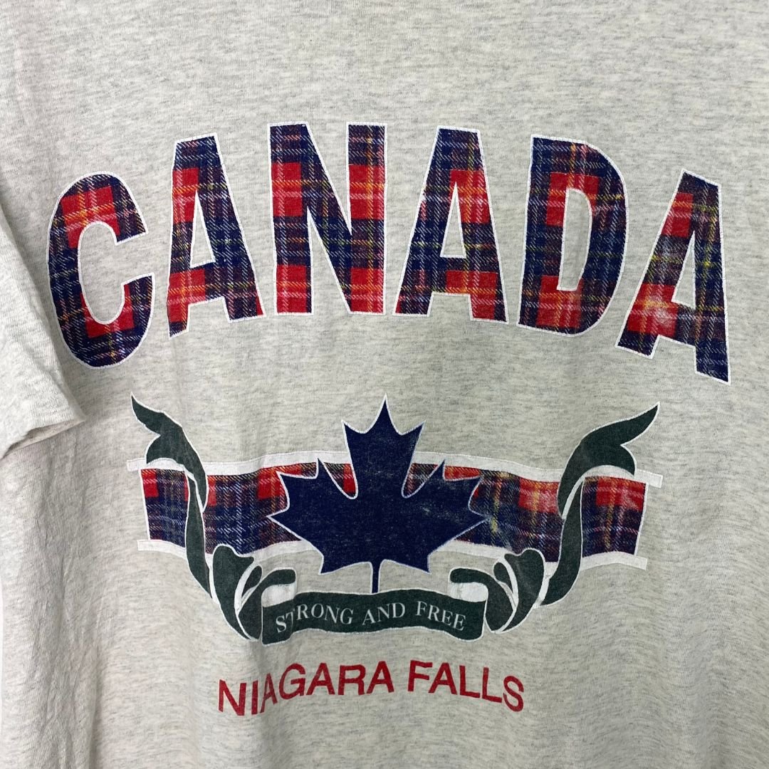 Canada Niagra Fals Grey Graphic T - VintageVera